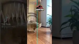 🤣🤣🤣