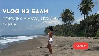 ВЛОГ ИЗ БАЛИ. ПОЕЗДКА В УБУД И ДУХИ В ОТЕЛЕ 👻 НАПАДЕНИЕ ОБЕЗЬЯНЫ