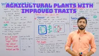Agricultural plants with improved traits | Biology 12th | Chapter 23 Biotechnology | Lecture 15
