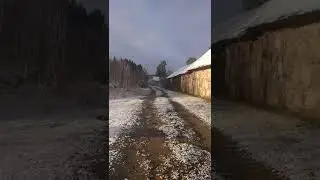 Первый снег // Приколы в деревне