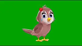 Birds cartoon videos#38 green screen videos