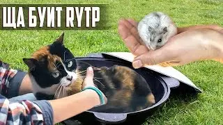 6 ЛАЙФФАКОВ ИЗ SLIVKI SHOW [RYTP]