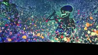 A bunch of stuff - Johnny Depp exhibit - skeleton dance