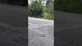 The monkey asks to be trusted