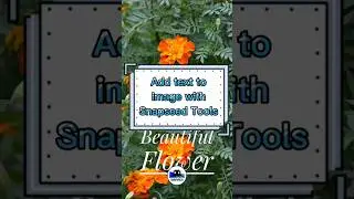 Add text to Image with Snapseed Tools