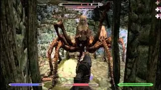 Skyrim Live commentery