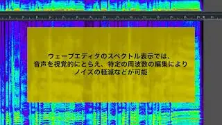 ABILITY 【Chapter19】ウェーブエディタでスペクトル表示、音声を視覚的にとらえノイズ軽減＜ABILITY 5＞