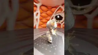 A Quick Breakdown of Koala Rig Test 2.0 