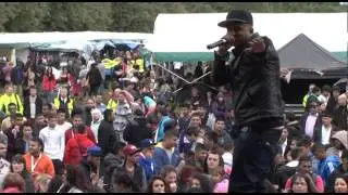 mela 2012