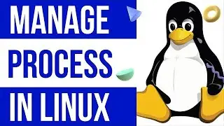 How To Manage Process | Use Of Top Command | Monitoring & Troubleshooting  Of Linux Server/System