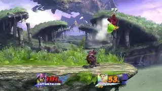 The Invisible Warrior