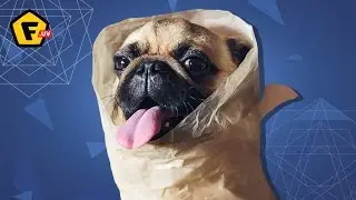 4 way. HOW to WRAP SHAWARMA in pita bread?