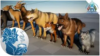 Introducing KAMIYAMA, a Massive Mod Collection | ARK: Ascended
