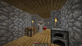 The Minecraft Experience (edited)