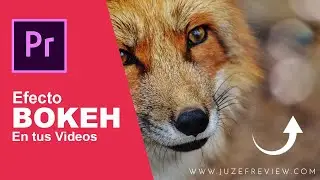 Poner Efecto BOKEH en tus Videos con Adobe Premiere