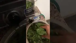 Wanna Join..? Palak ki roti #healthyrecipes #diet #minivlog #myroutine #palakroti #trendingshorts