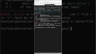 LABEL in a multiline using the backslash in Dockerfile - 