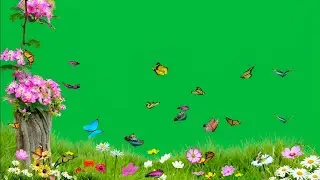 pink flowers green screen video | butterfly flying garden green screen video | flower green screen