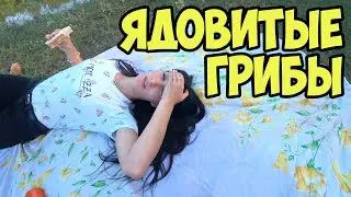 Влог Нашли ядовитые грибы