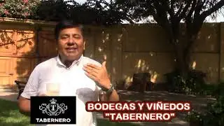 SALUD CON EL CHILCANO DE PISCO: Bodega "TABERNERO", Chincha.