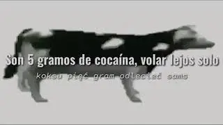 Cypis- Gdzie jest biały węgorz ?| Sub Español + Polskie (Polaco) [ Canción de la Vaca Bailando]