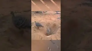 En büyük darbeyi her zaman en yakınımızdaki insanlardan alırız