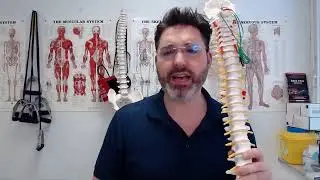 Back Pain During Pregnancy