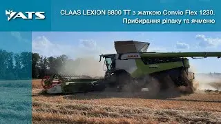 Зернозбиральний комбайн CLAAS LEXION 8800 TT з жаткою Convio Flex 1230 в жнива