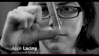 Alice Laciny  |  Eco-Evo-Devo in Action: Parasite-Induced Morphologies in Ants
