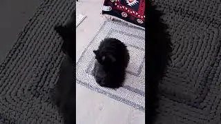 Не отвлекай