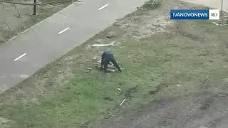Кража тротуарной плитки в Иванове