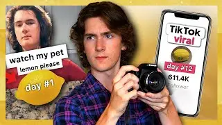 How I Made A Lemon Go Viral On TikTok