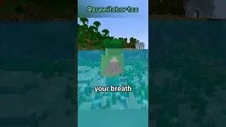 Minecraft’s Water Breathing Potion Is Pointless…