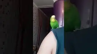 кешочка 😁👍👍👍