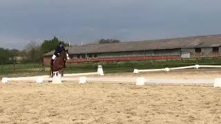 Concours de dressage club 4 impose