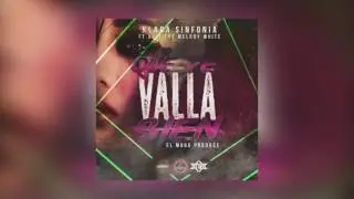 Xavi The Melody White Ft Klara Sinfonía - Que te vaya bien (Audio DGS)