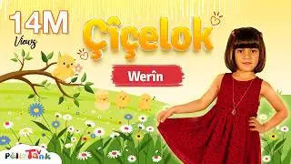 Werîn - Çîçelok | وەرین - چیچەلۆک
