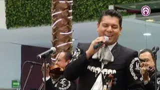 Mariachi Vargas De Tecalitlán - Maldita Sea Mi Suerte / Mi Cariñito / Cartas a Eufemia / Flor Sin
