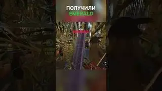 Получили emerald ранг в the finals #thefinals #gaming