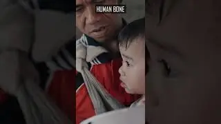 Interesting facts about human bone #shorts