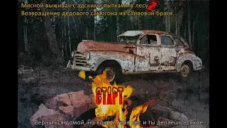 trailerVizhivach