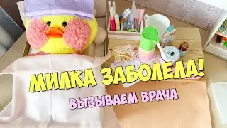 Уточка Милка заболела! 😱  Что назначил врач уточке LALAFANFAN?