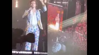 Do You Believe Harry Styles Really Said That?