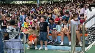 Paper Planes ซ้อมร้อง (SafariWorld) - Akira Sripattarawit