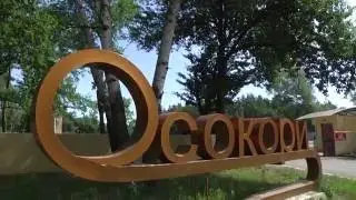 Оздоровительный комплекс 