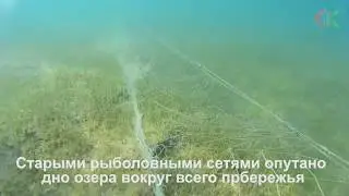 Старые рыболовные сети