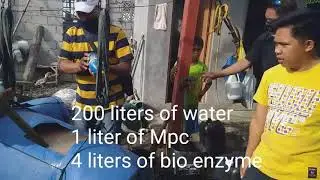 Panama treatment using MPC Biological control 09383780909