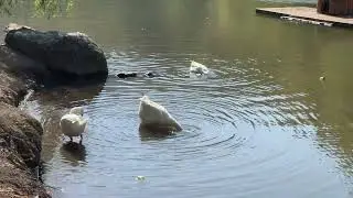 Поездка на водопад и озеро Севан