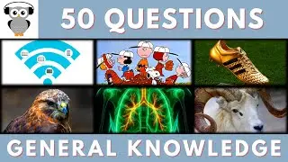 General Knowledge Quiz Trivia #172 | Wireless, One Snoopy Place, Golden Shoe, Lungs, Male Sheep