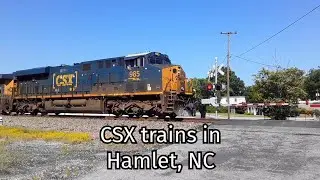 Local & A Light Power Move in Hamlet, NC